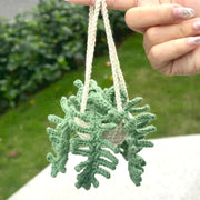 Car hanging plant- crochet pattern